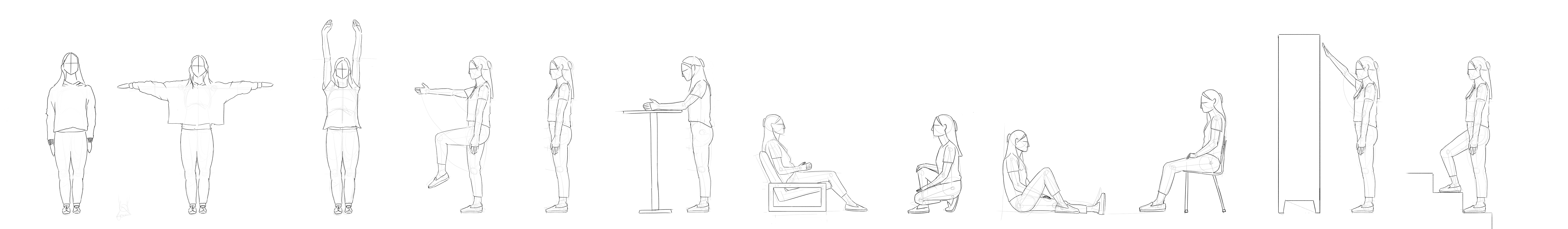 anatomical measurements